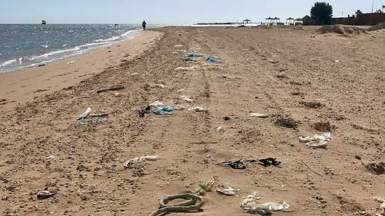 Studie zu Chemikalien in Kunststoffen