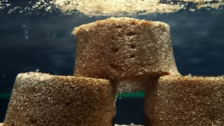 Fruchtbare, stabilere Böden dank Biopolymeren