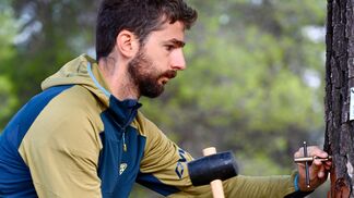 Mehr Wachstumszeit heisst nicht mehr Holz