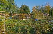 Gartenliebe in der DACH-Region