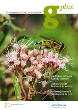 Ausgabe 21